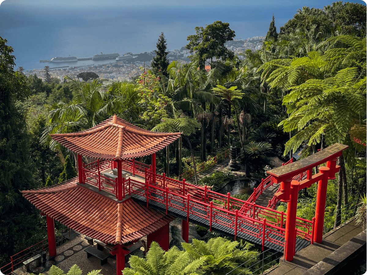 Madeira-Funchala-botaniskais-darzs.jpg