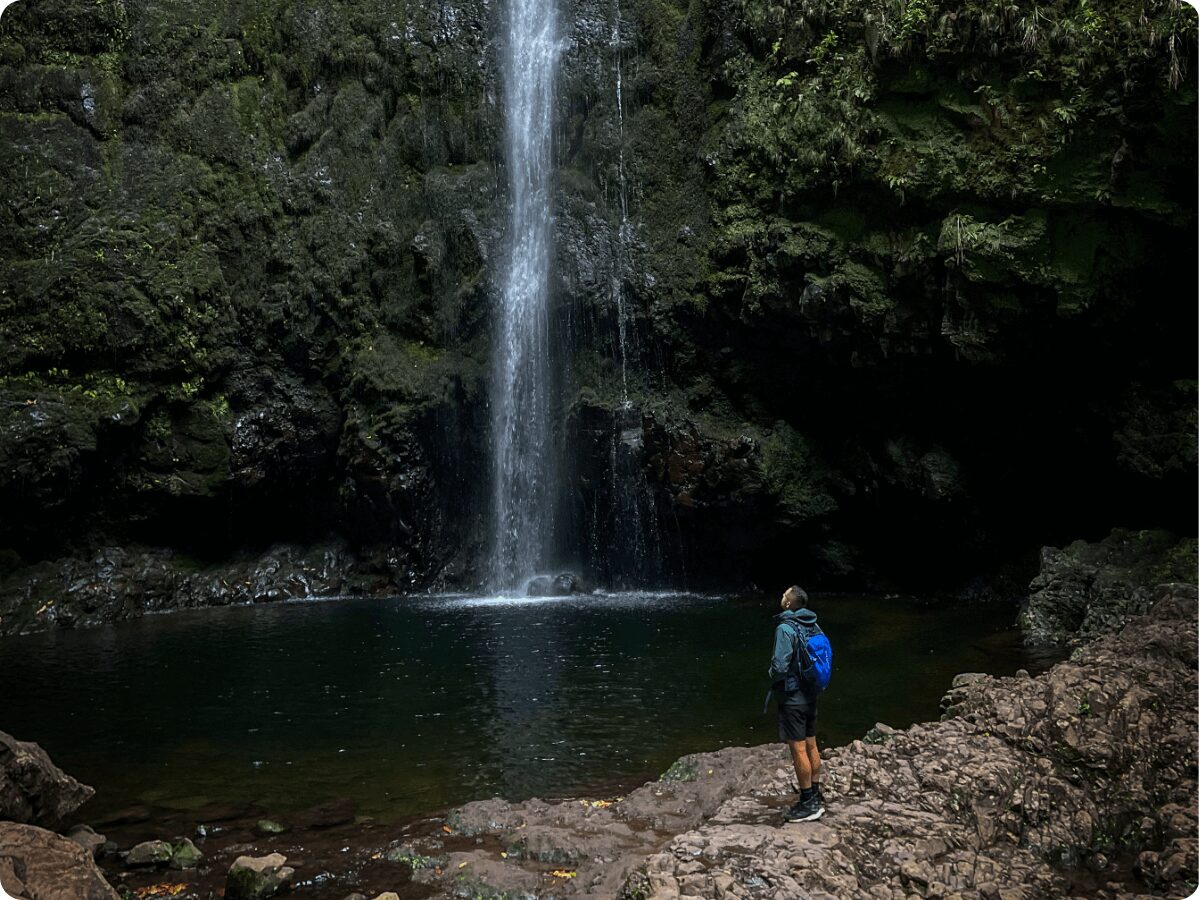Madeira-pargajiens-Levada-do-Caldeirao-Verde.jpg