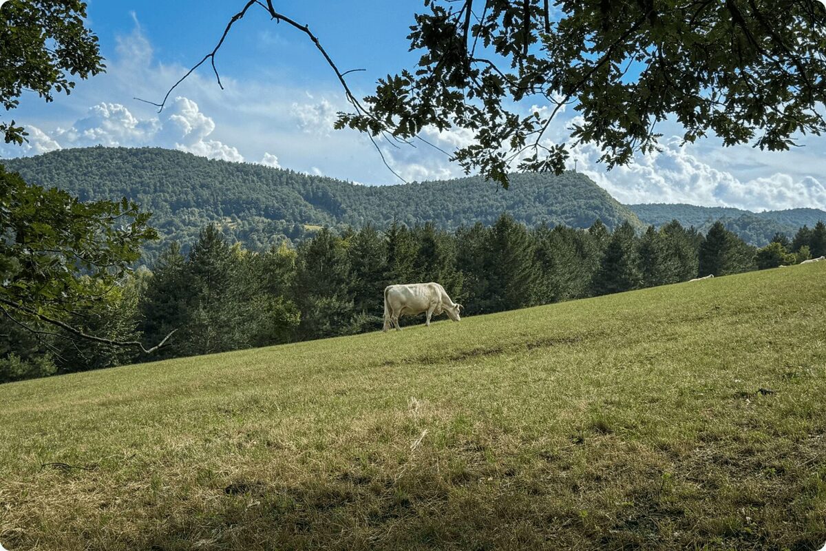 Via-Dinarica-Slovenia-Razdrto.jpg