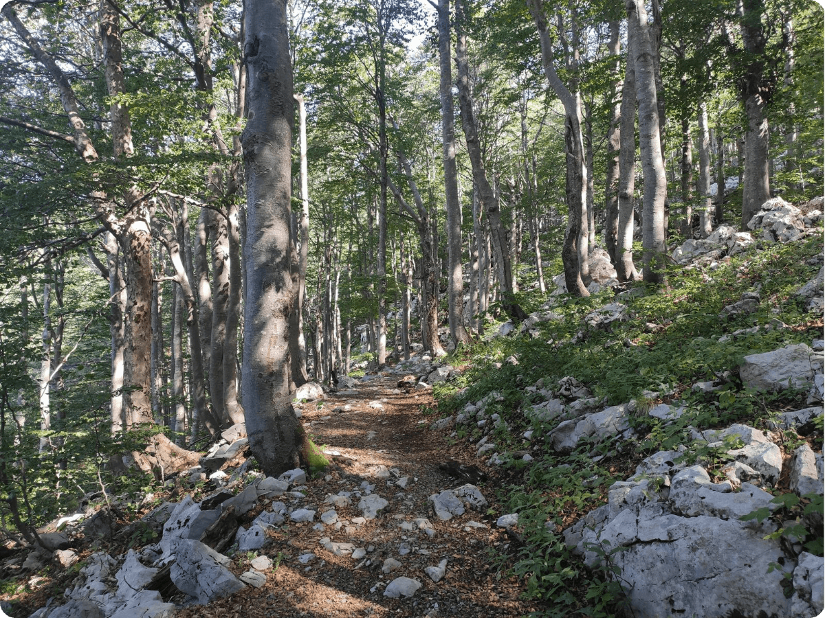 via-dinarica-daudzdienu-pargajiens-horvatija.png